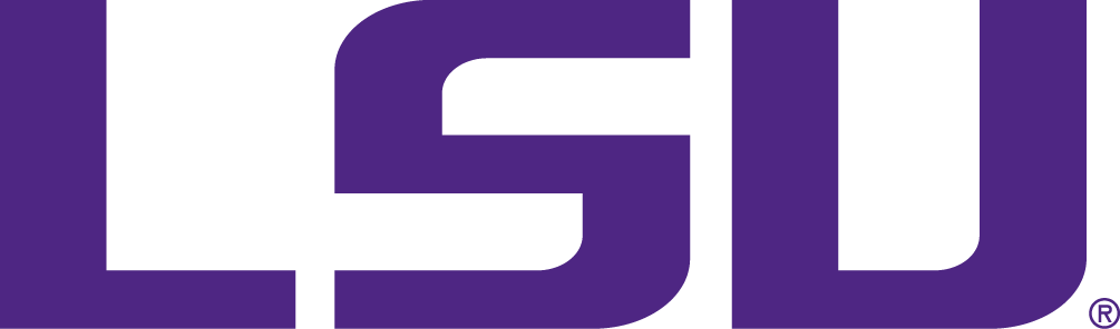 LSU Tigers 2002-Pres Wordmark Logo v5 diy iron on heat transfer